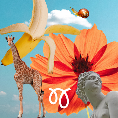 Spring Playlist